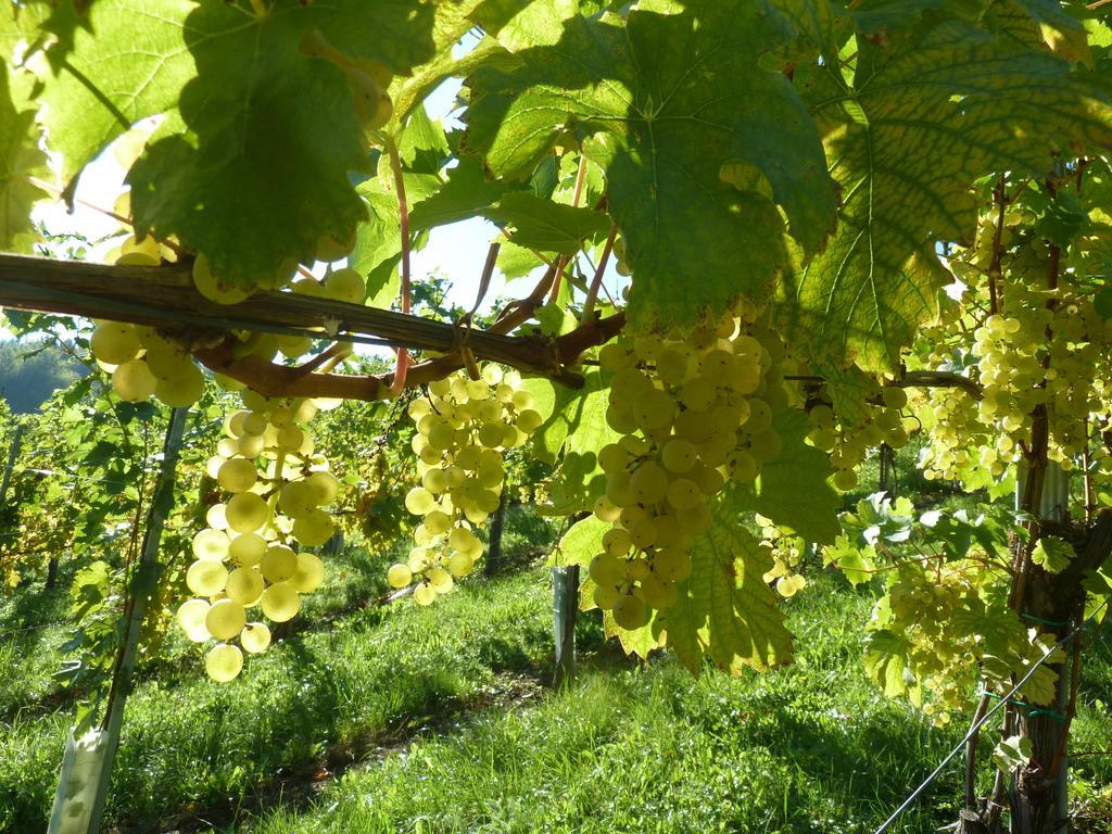 Weingut- Gaestezimmer Marko Apartment Leutschach Exterior photo