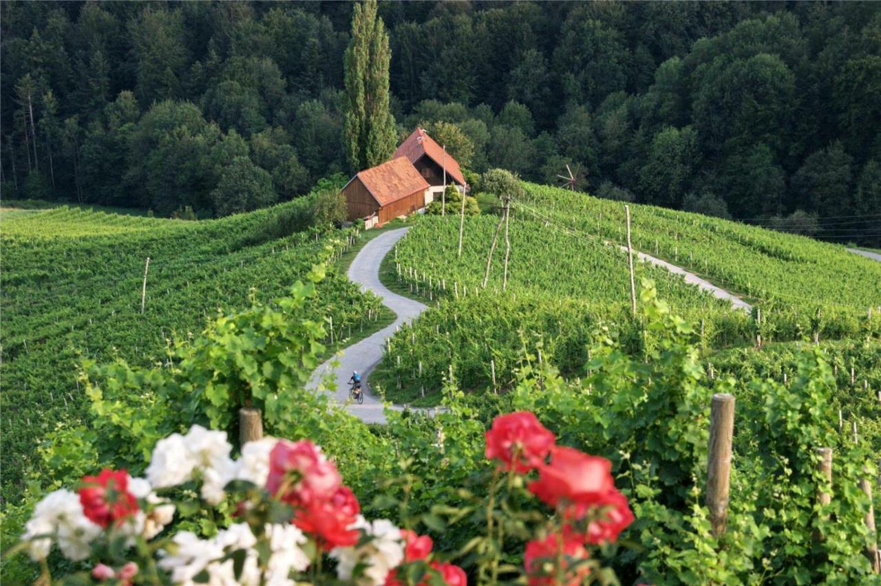 Weingut- Gaestezimmer Marko Apartment Leutschach Exterior photo