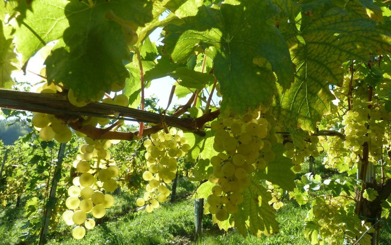 Weingut- Gaestezimmer Marko Leutschach Exterior photo