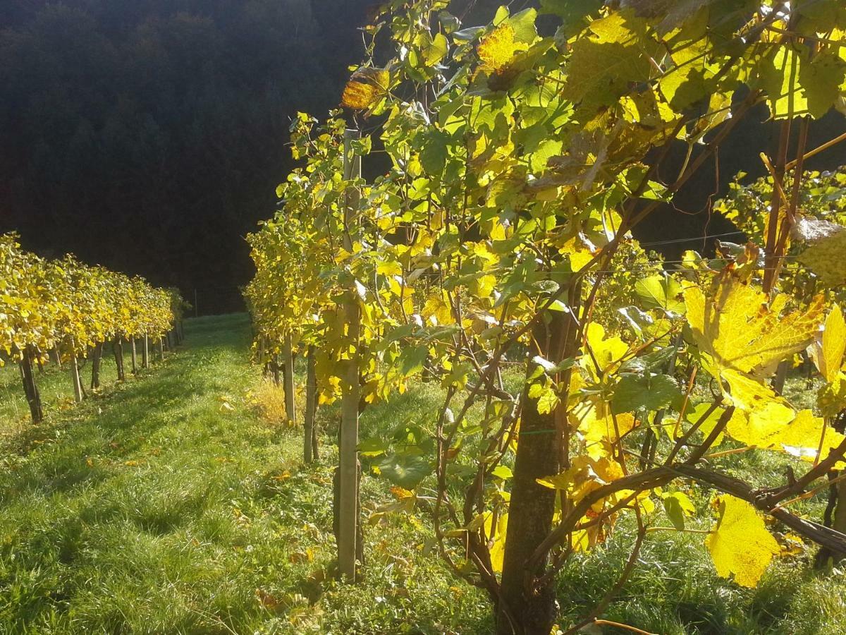 Weingut- Gaestezimmer Marko Apartment Leutschach Exterior photo